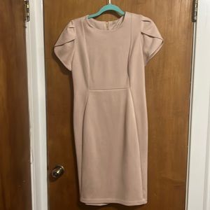 Calvin Klein Ruffle Sleeve Sheath Dress Petal Pink  8